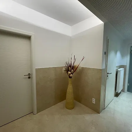 公寓 Penthouse Au Lac De Warfaaz